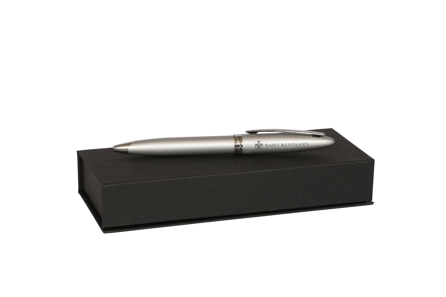 Presentation Pen